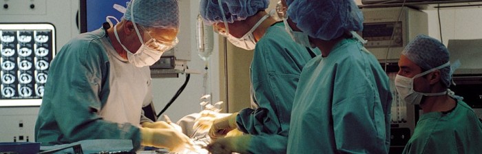 File written by Adobe Photoshop¨ 5.2