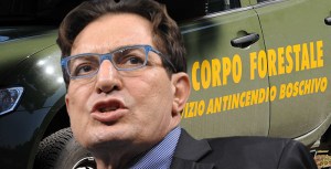 Licenziamenti-forestali-Regione-Sicilia