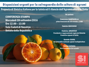 cs-ddl-agrumicoltura